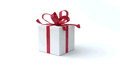 TanTan-Kids Box Boy 6j-11j ‍
